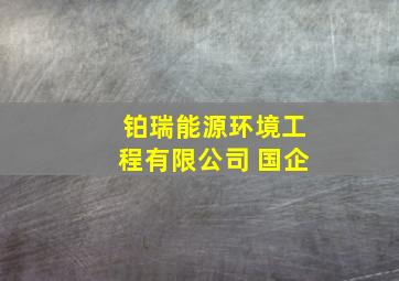 铂瑞能源环境工程有限公司 国企